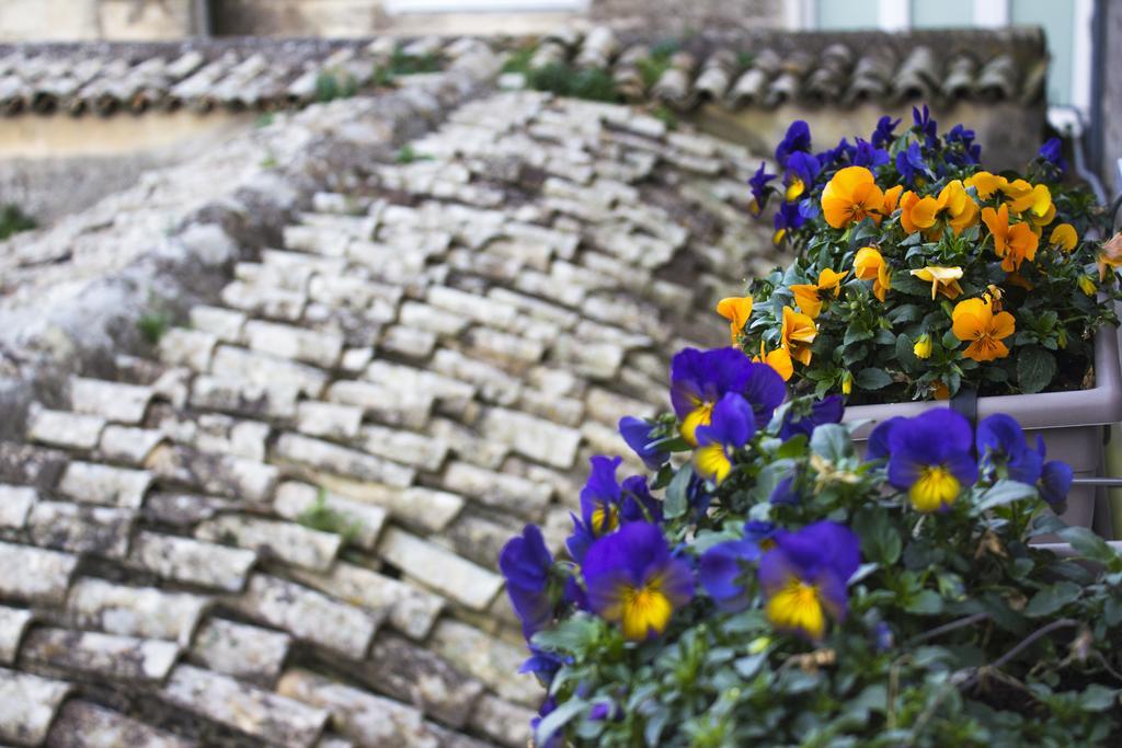 Le Violette Matera Exterior foto